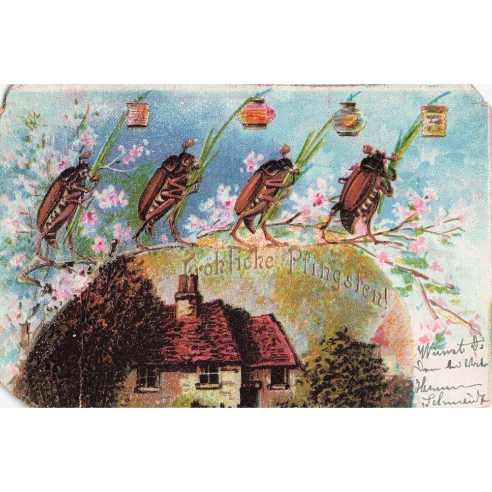 Frohliche Pfingsten Pentecost German Postcard Anthropomorphic Beetles Lanterns